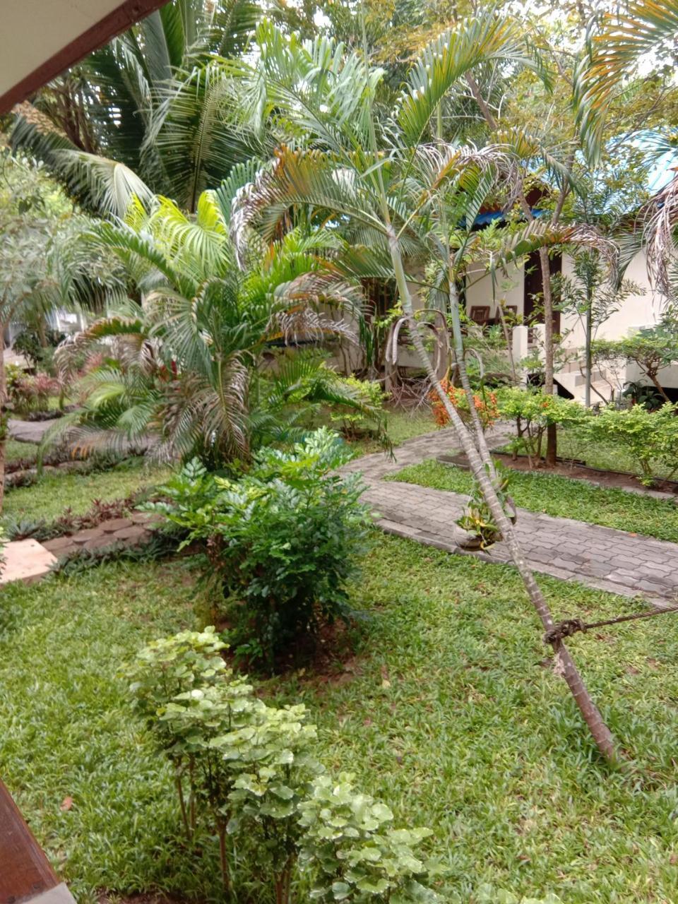 Prik Thai Resort Koh Tao Eksteriør billede